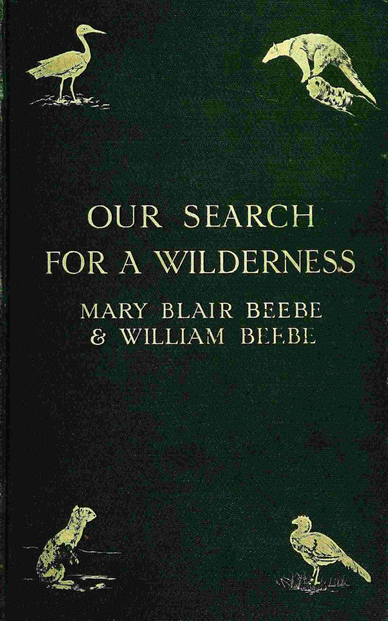 Our search for a wilderness cover