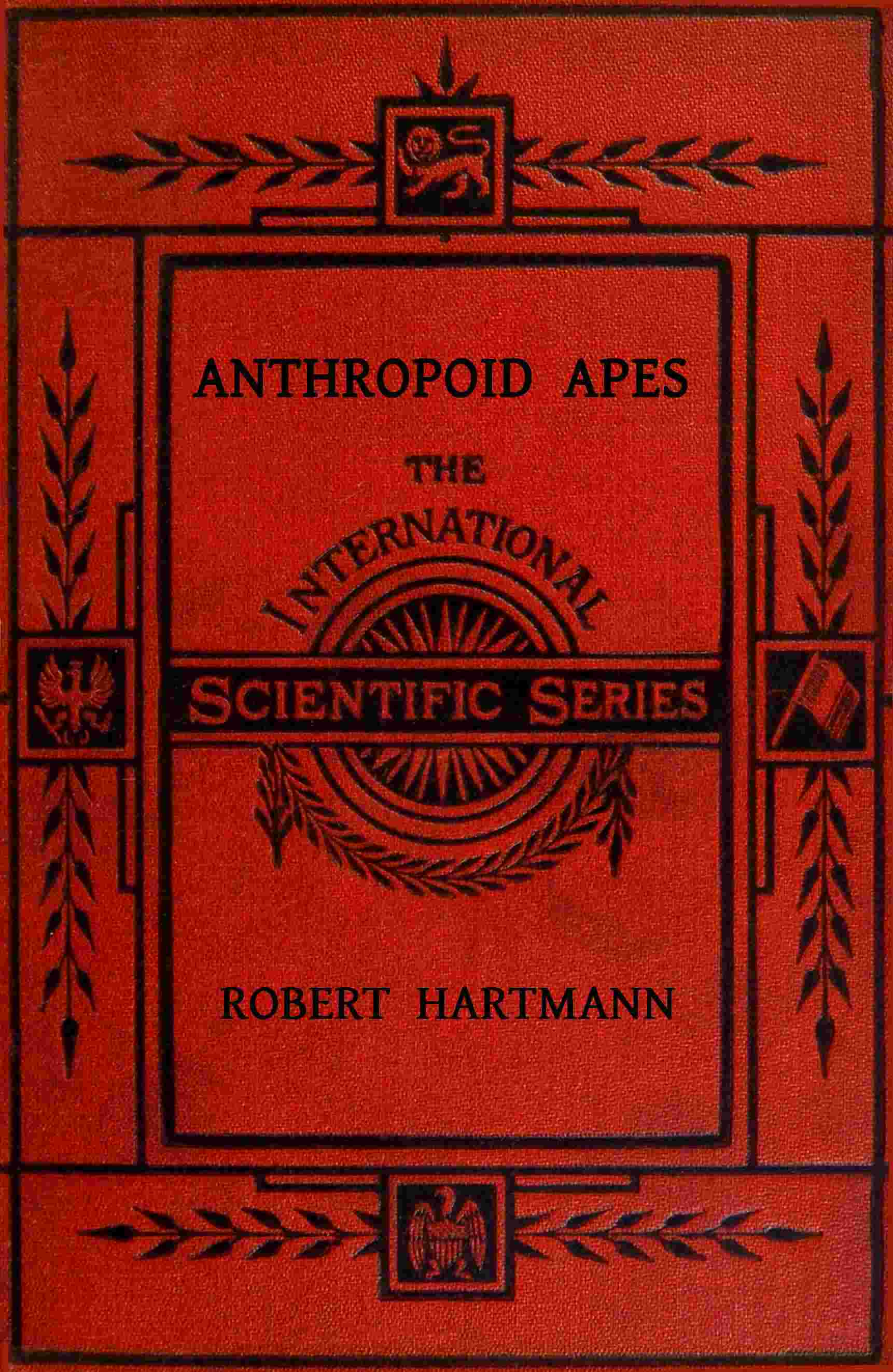 Anthropoid apes cover