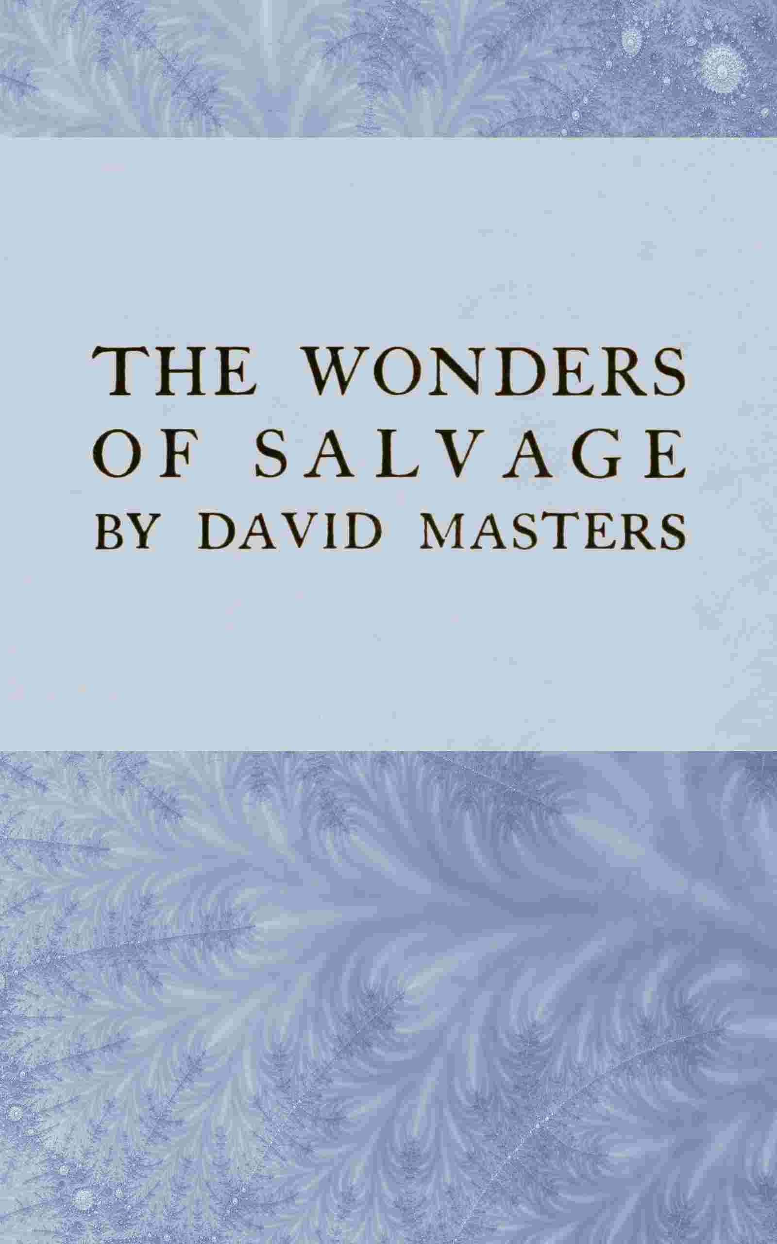 The wonders of salvage cover