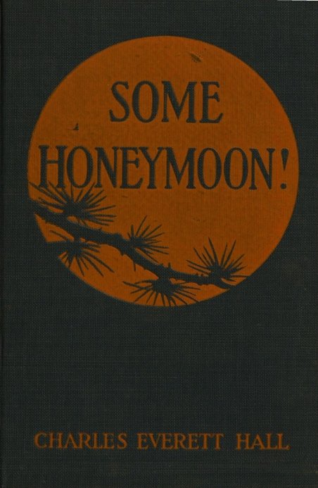 Some honeymoon! cover