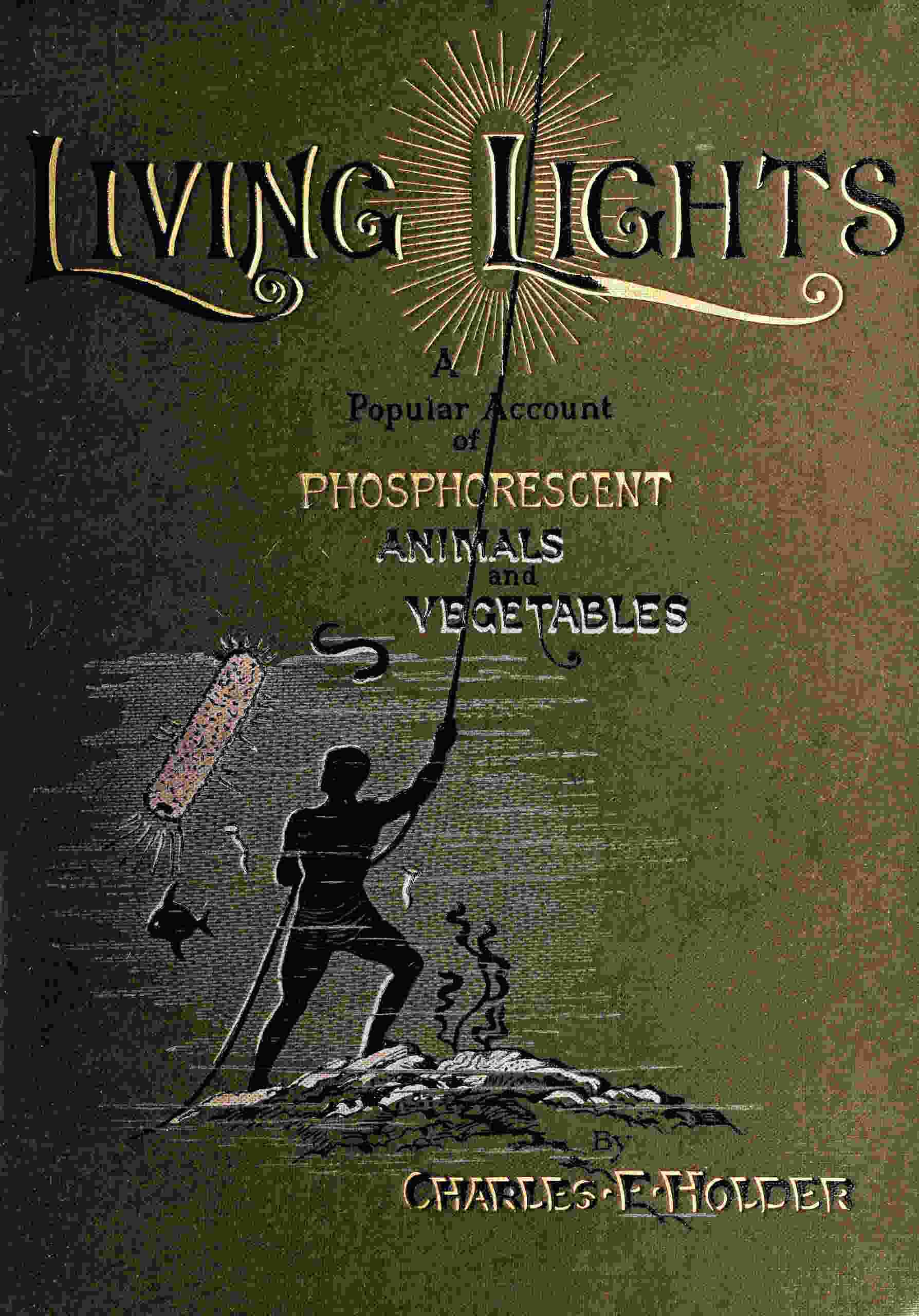 Living lights cover