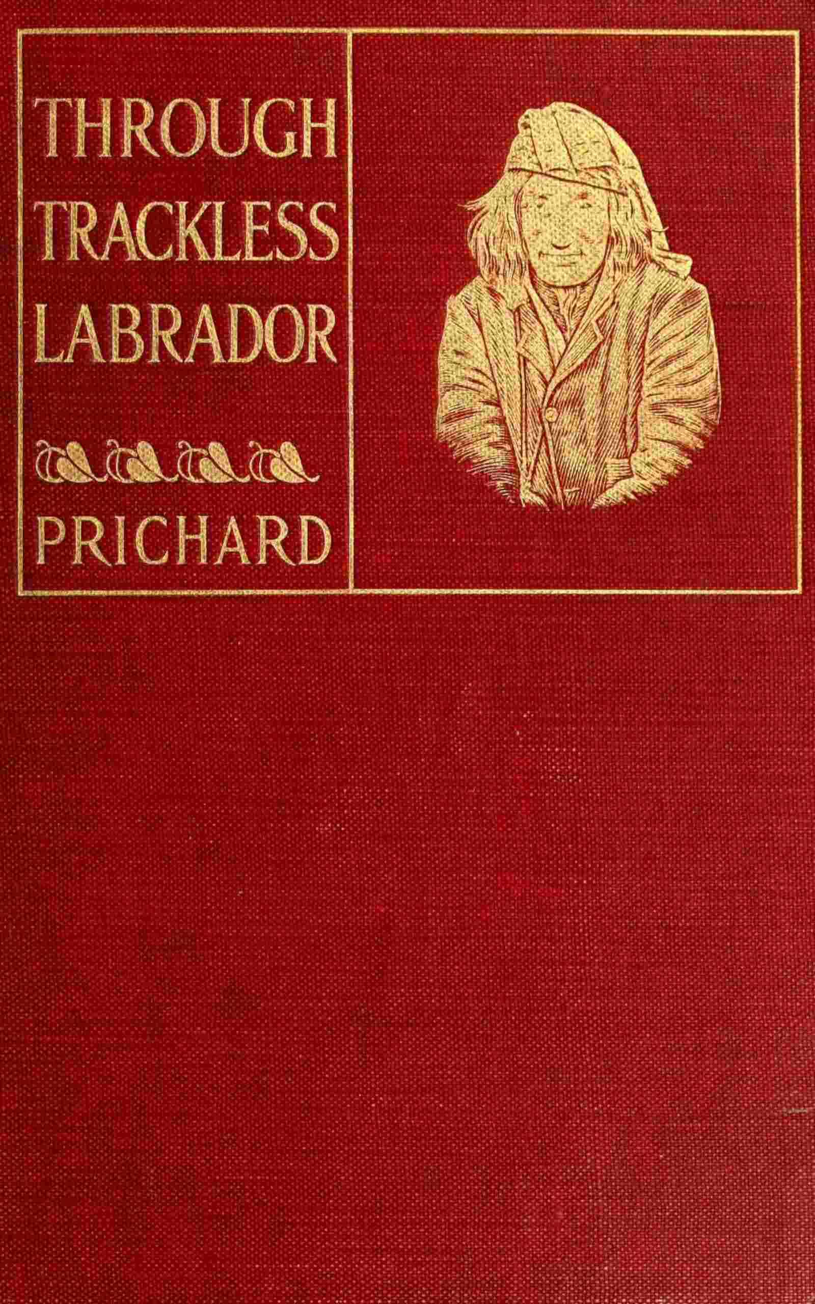Through trackless Labrador cover