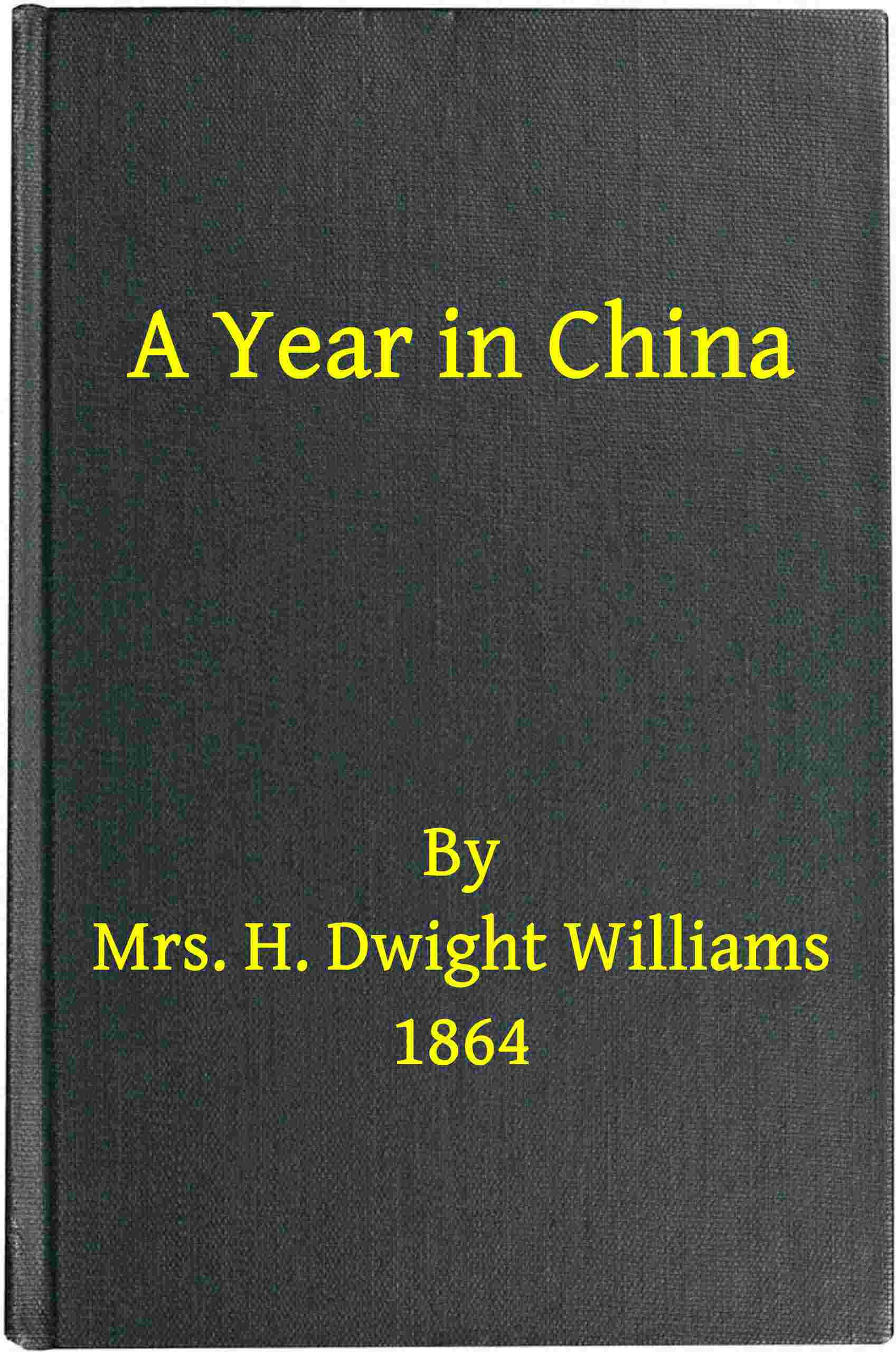 A year in China cover