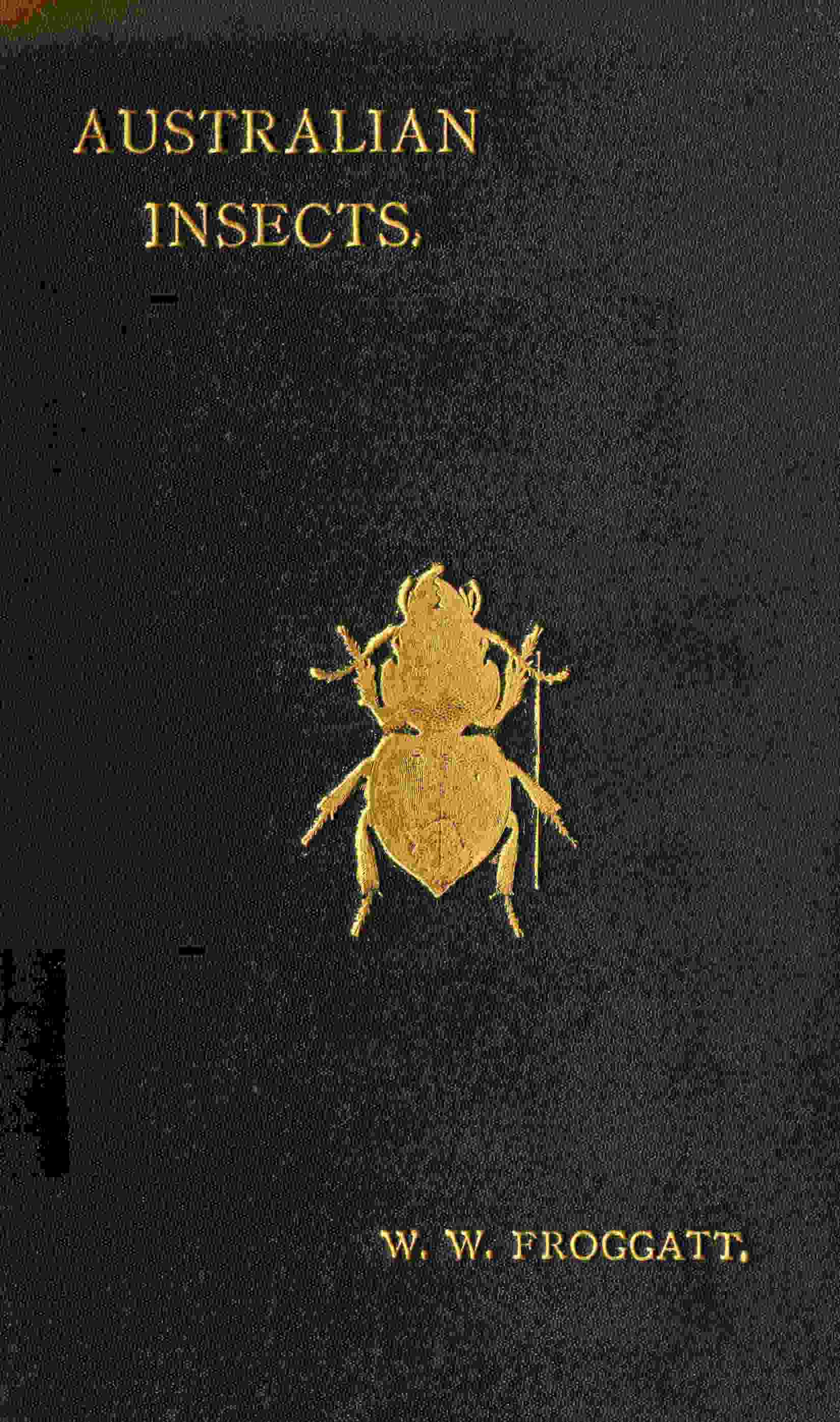 Australian insects cover