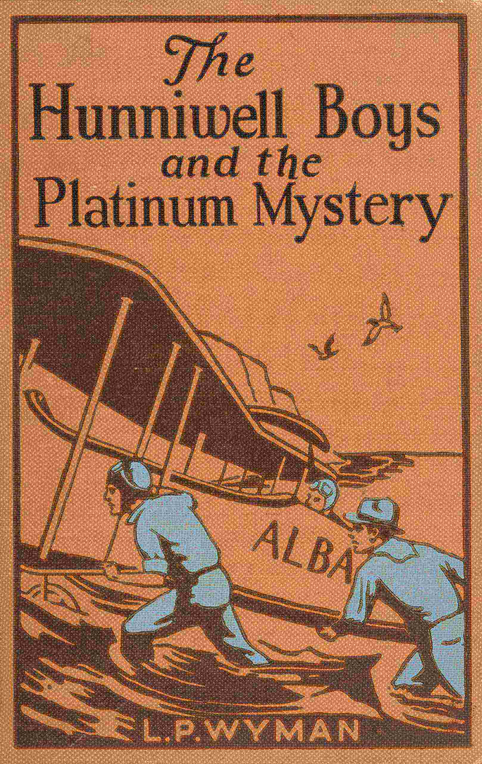 The Hunniwell boys and the platinum mystery cover