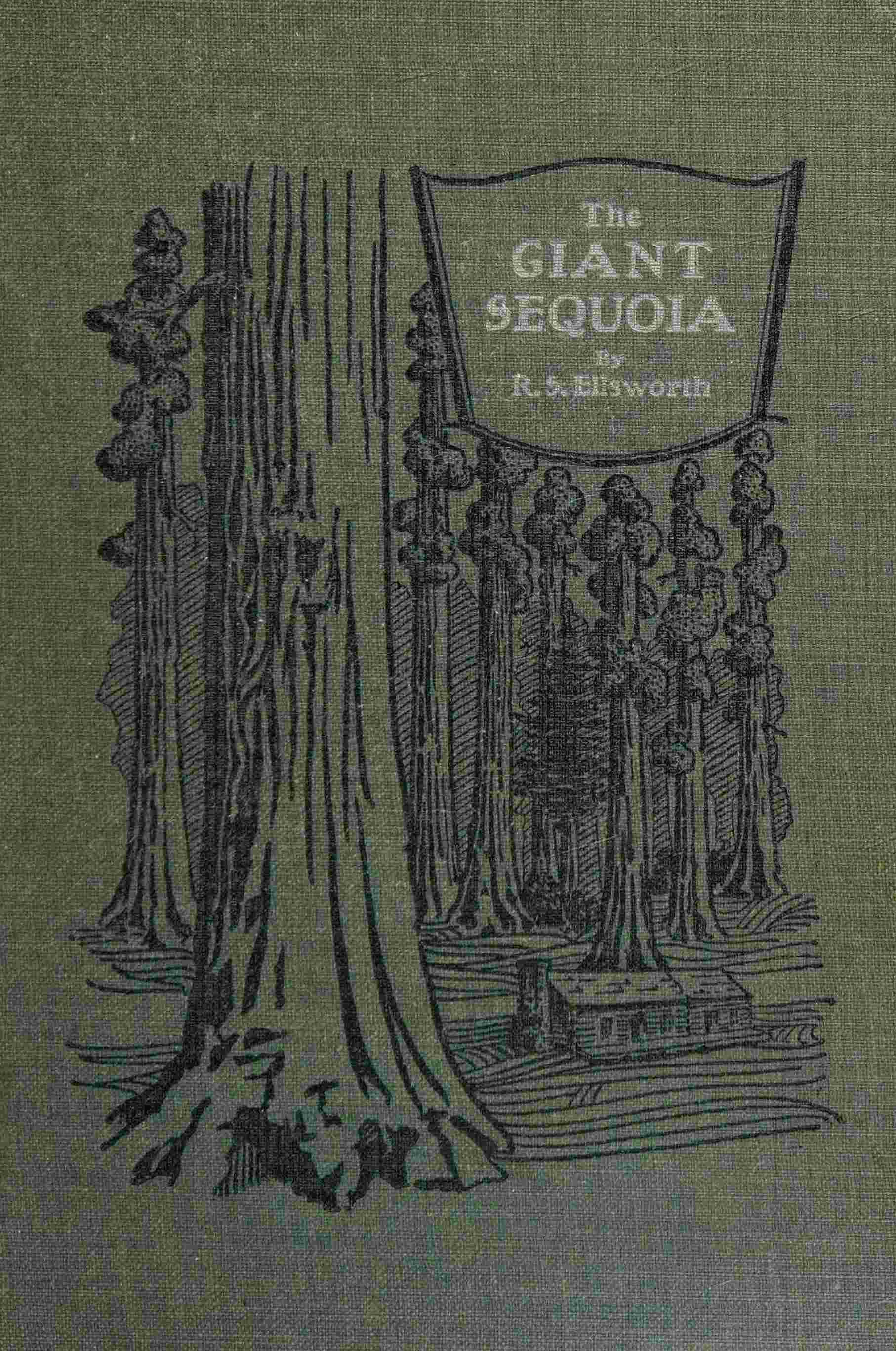 The giant sequoia cover
