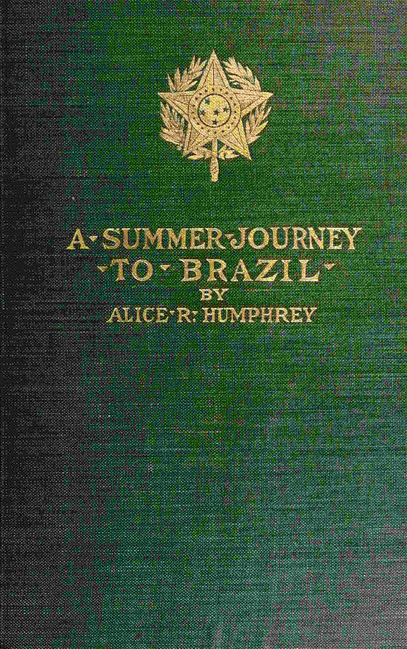 A summer journey to Brazil cover