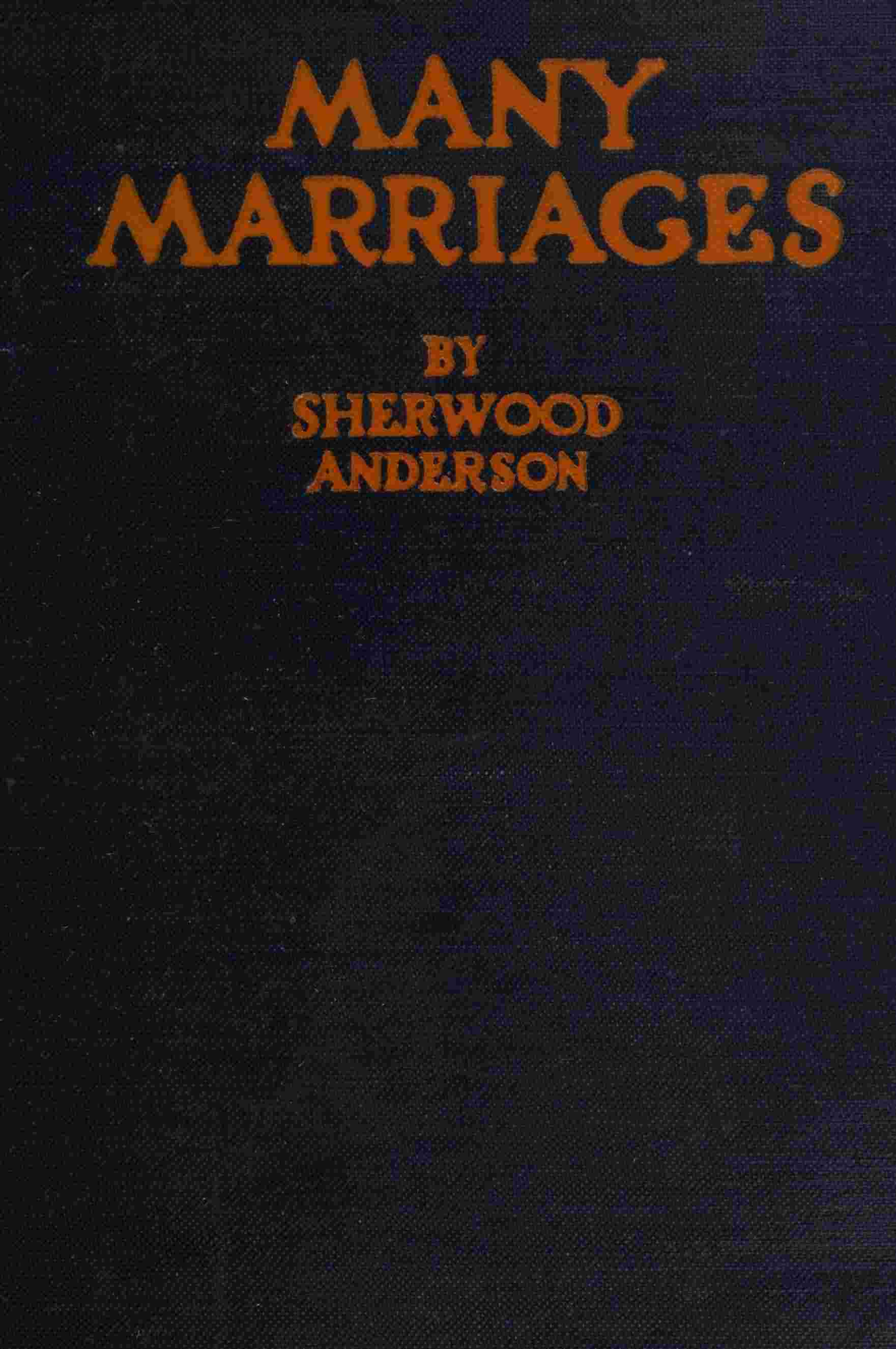 Many Marriages cover