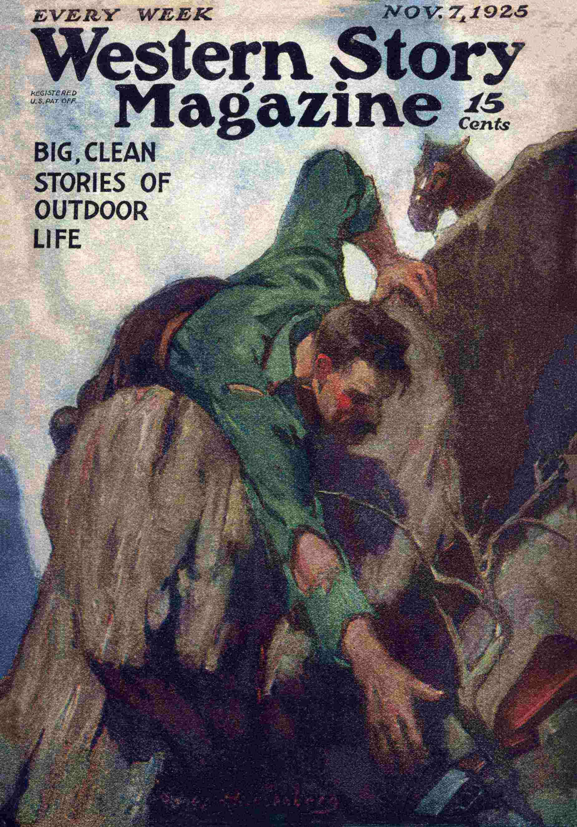The land beyond the mist cover