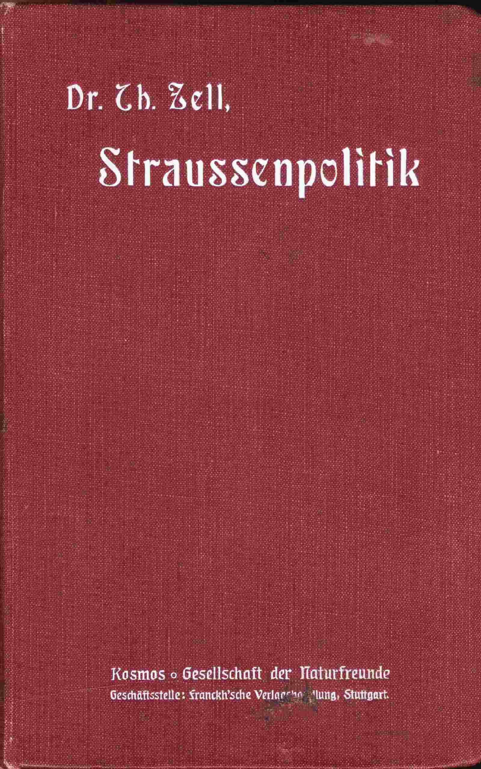 Straußenpolitik cover