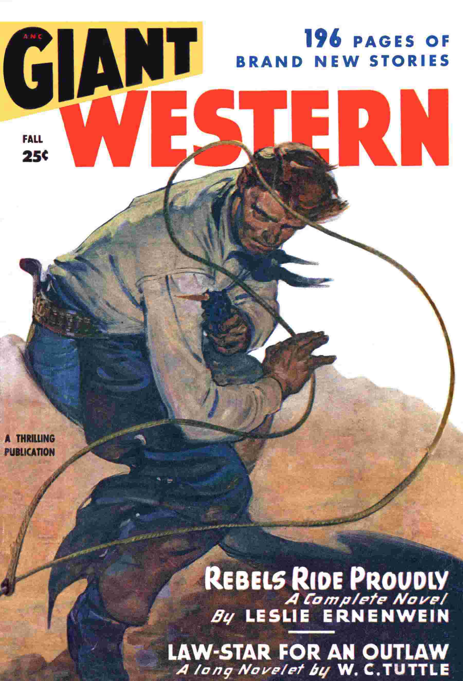 Law-star for an outlaw cover