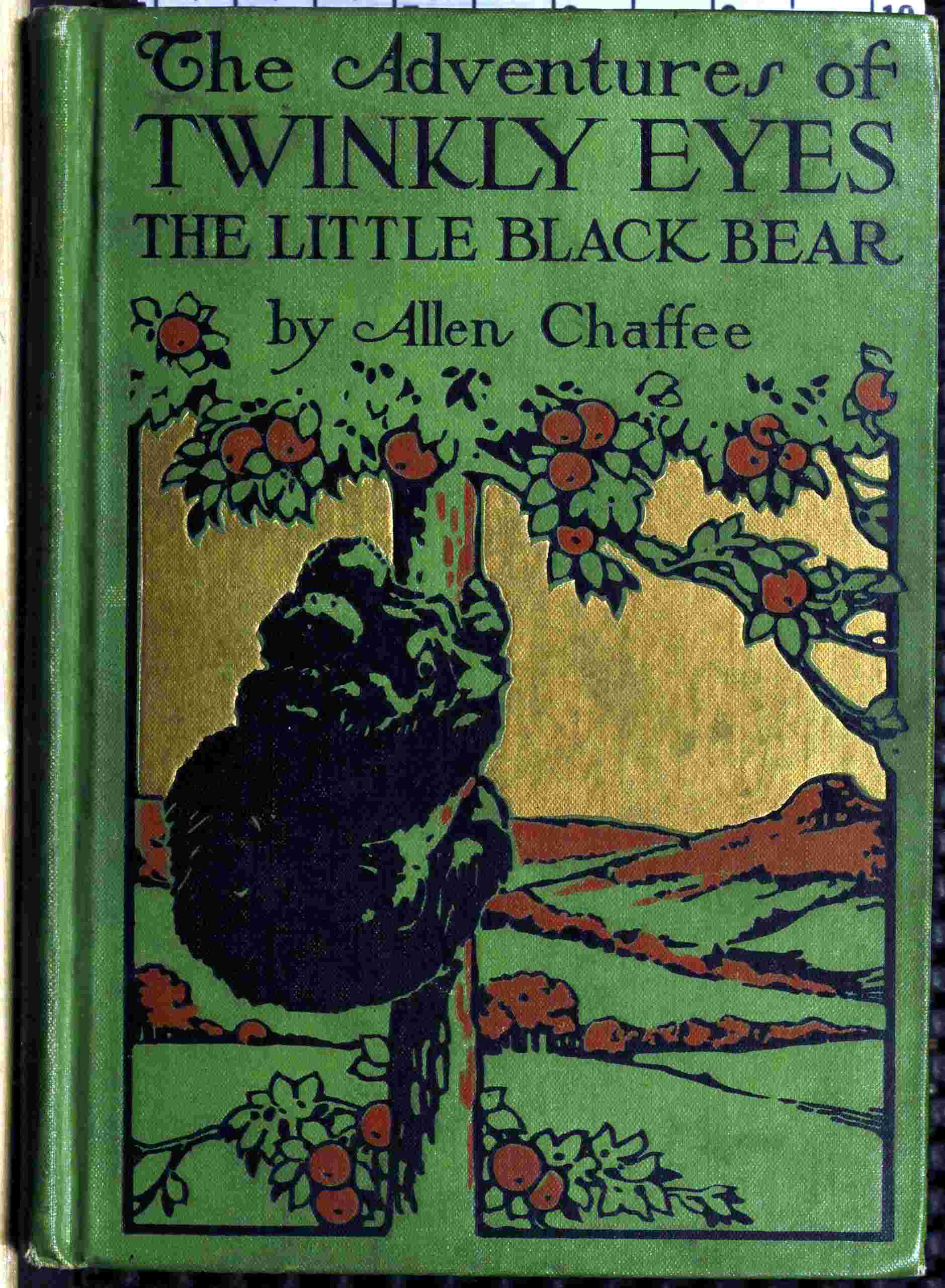 The adventures of Twinkly Eyes the little Black Bear cover