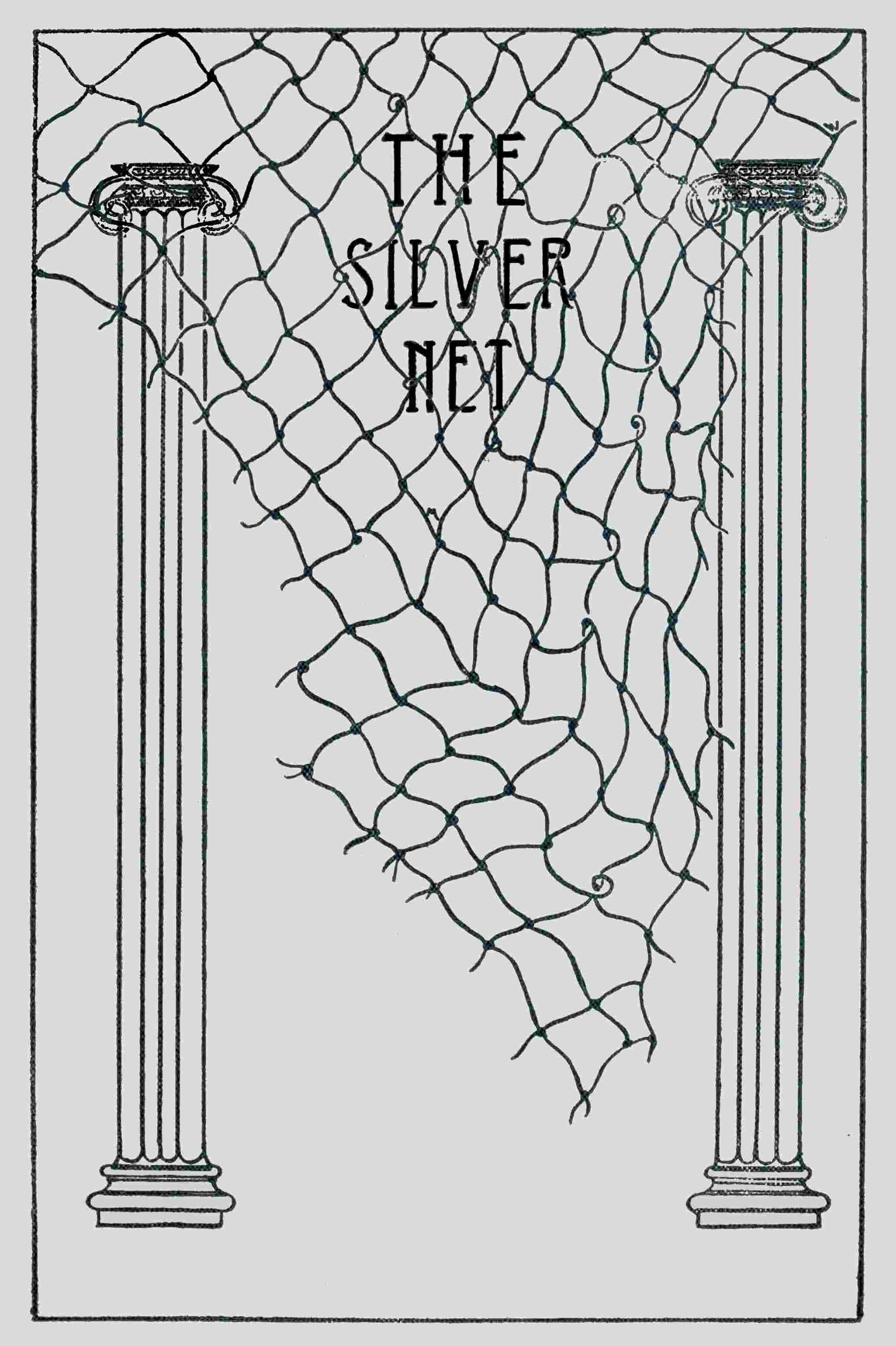 The silver net cover