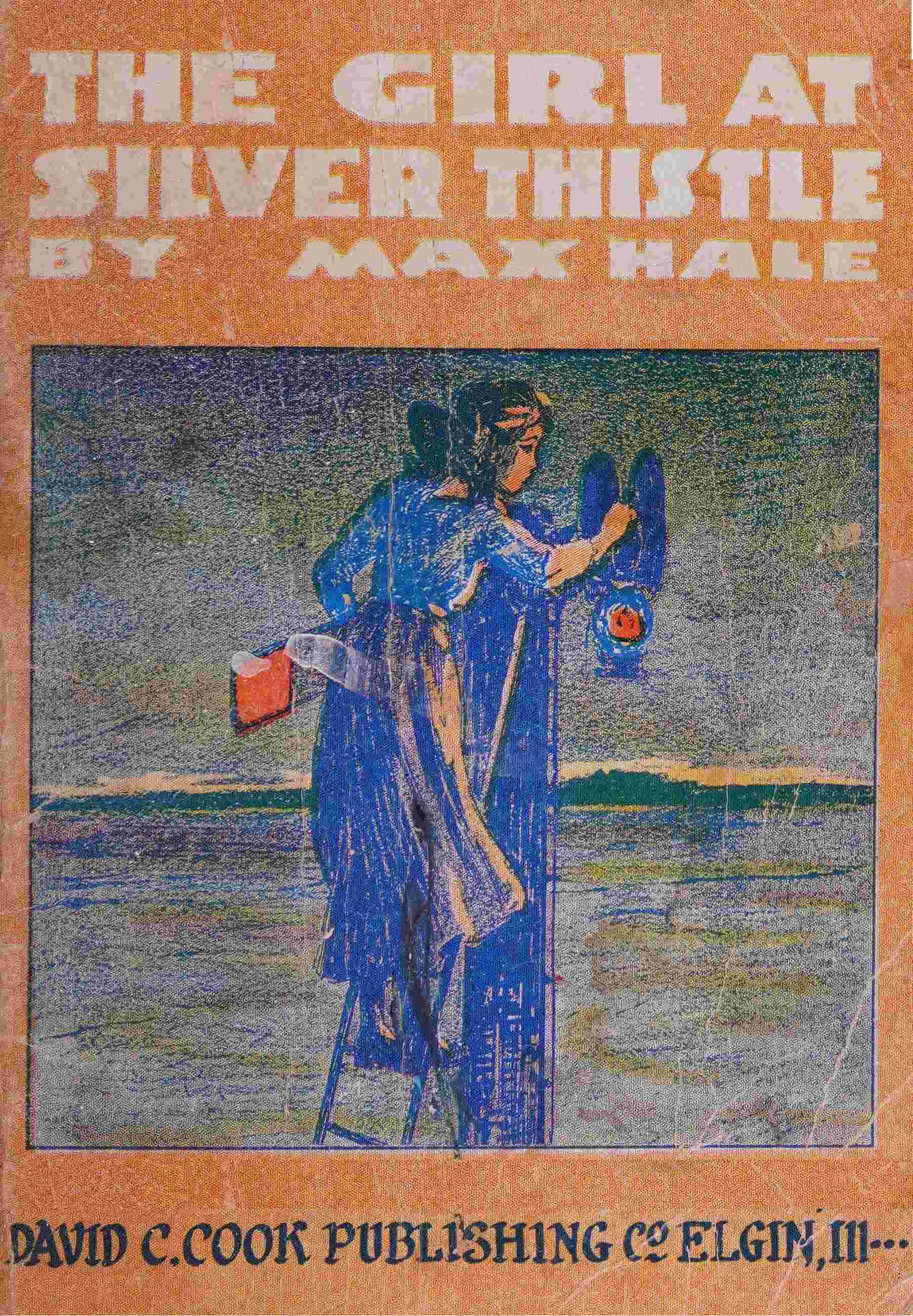 The girl at Silver Thistle cover