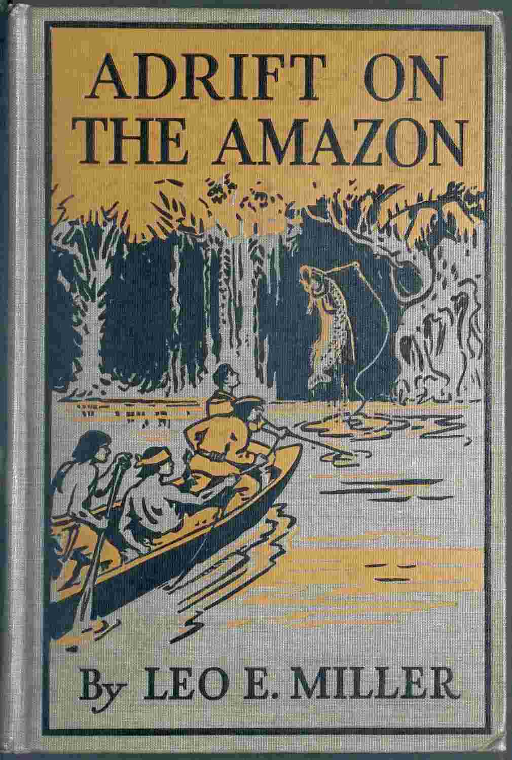 Adrift on the Amazon cover