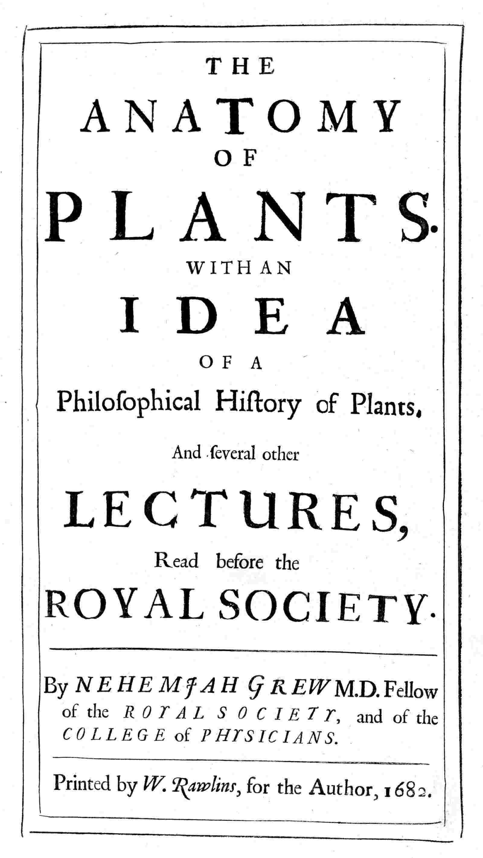 The anatomy of plants cover