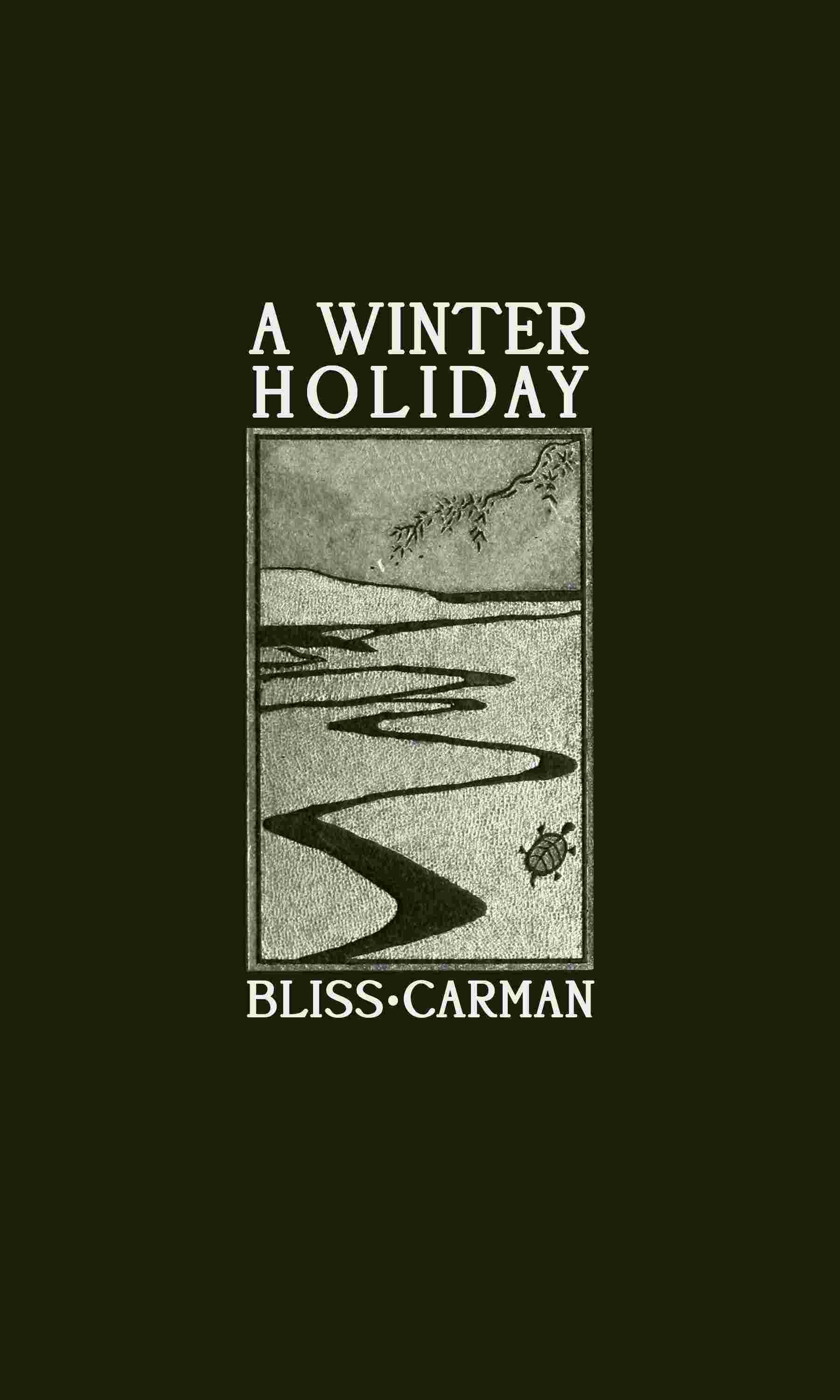 A winter holiday cover