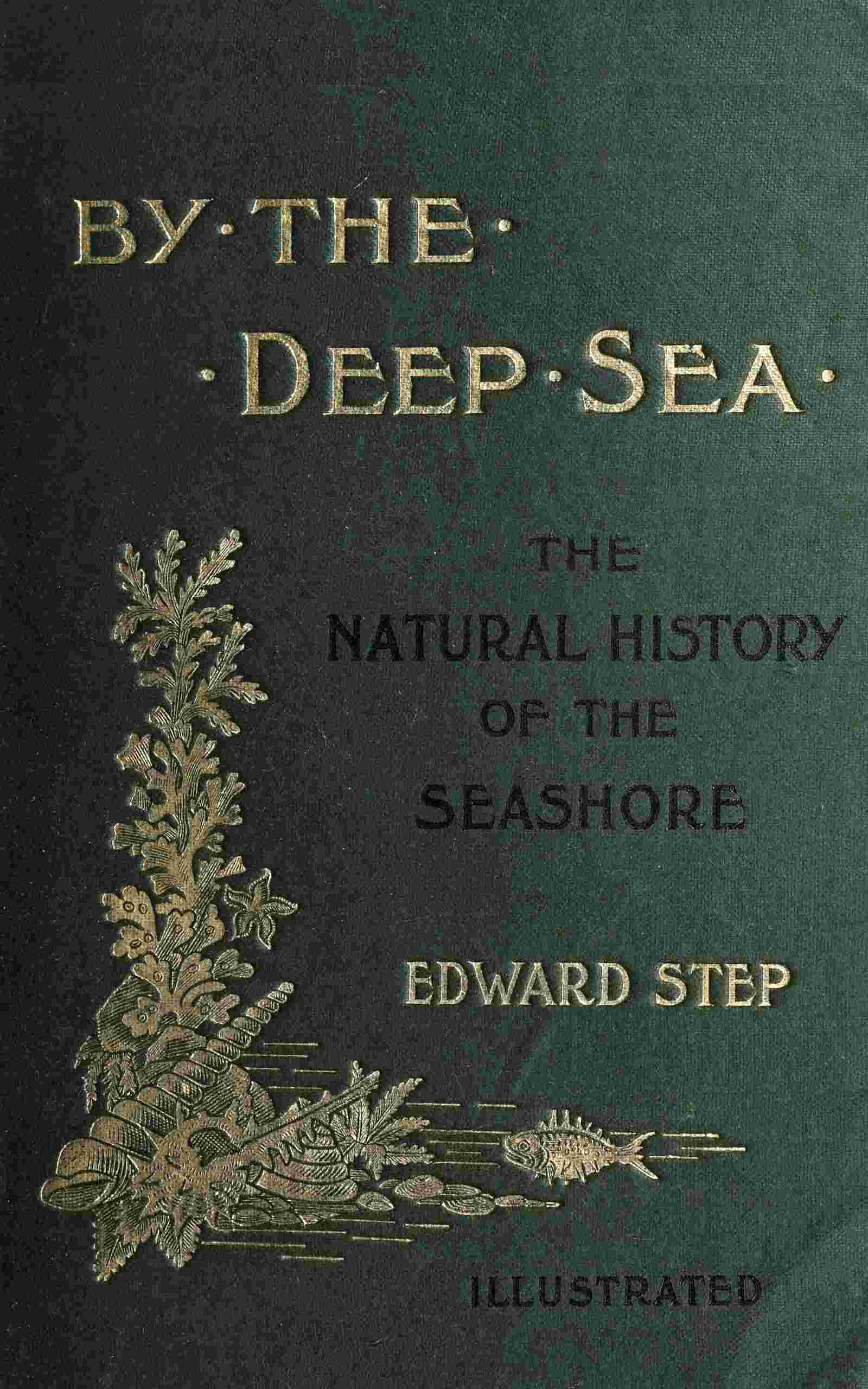 By the deep sea cover