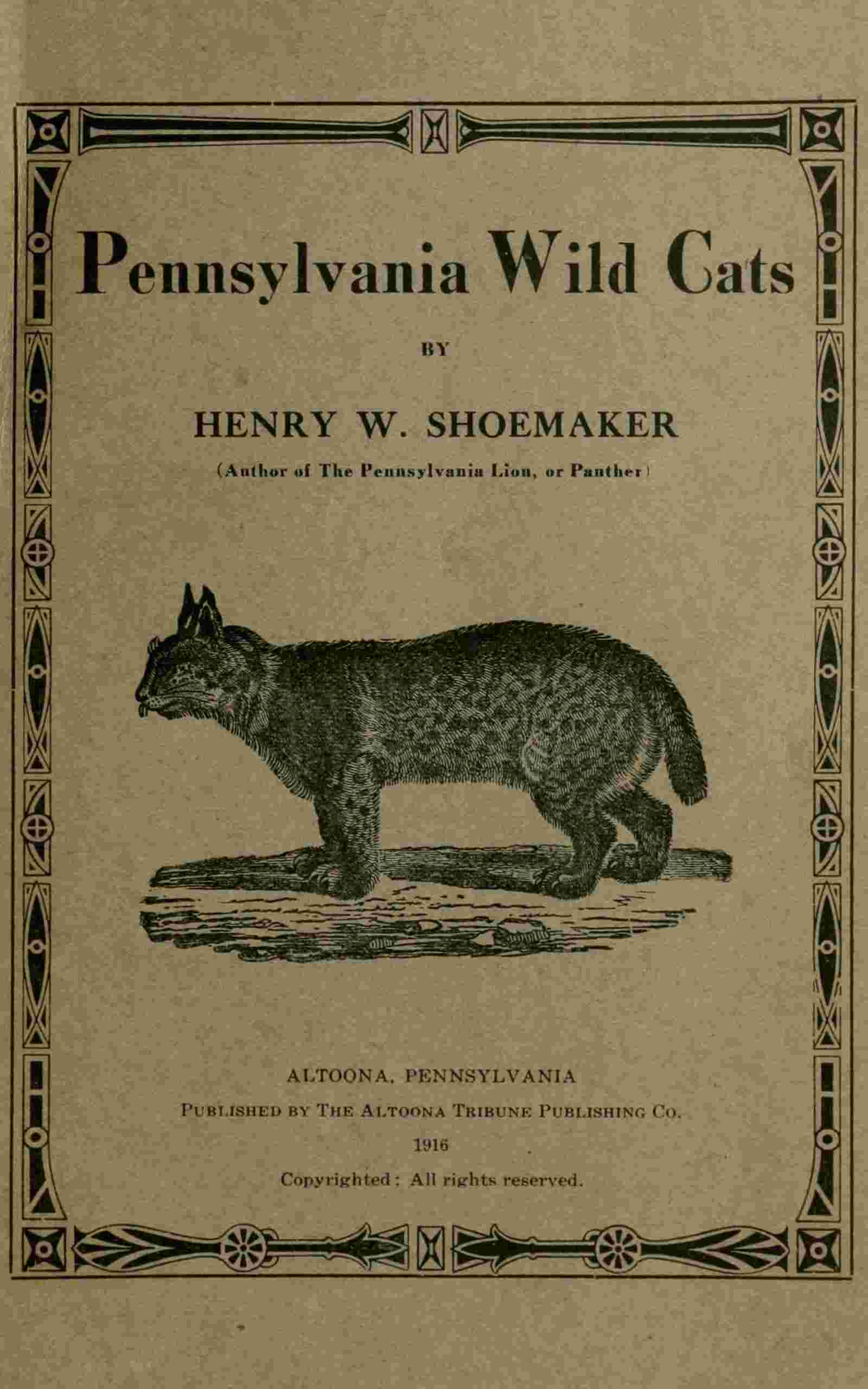 Pennsylvania wild cats cover