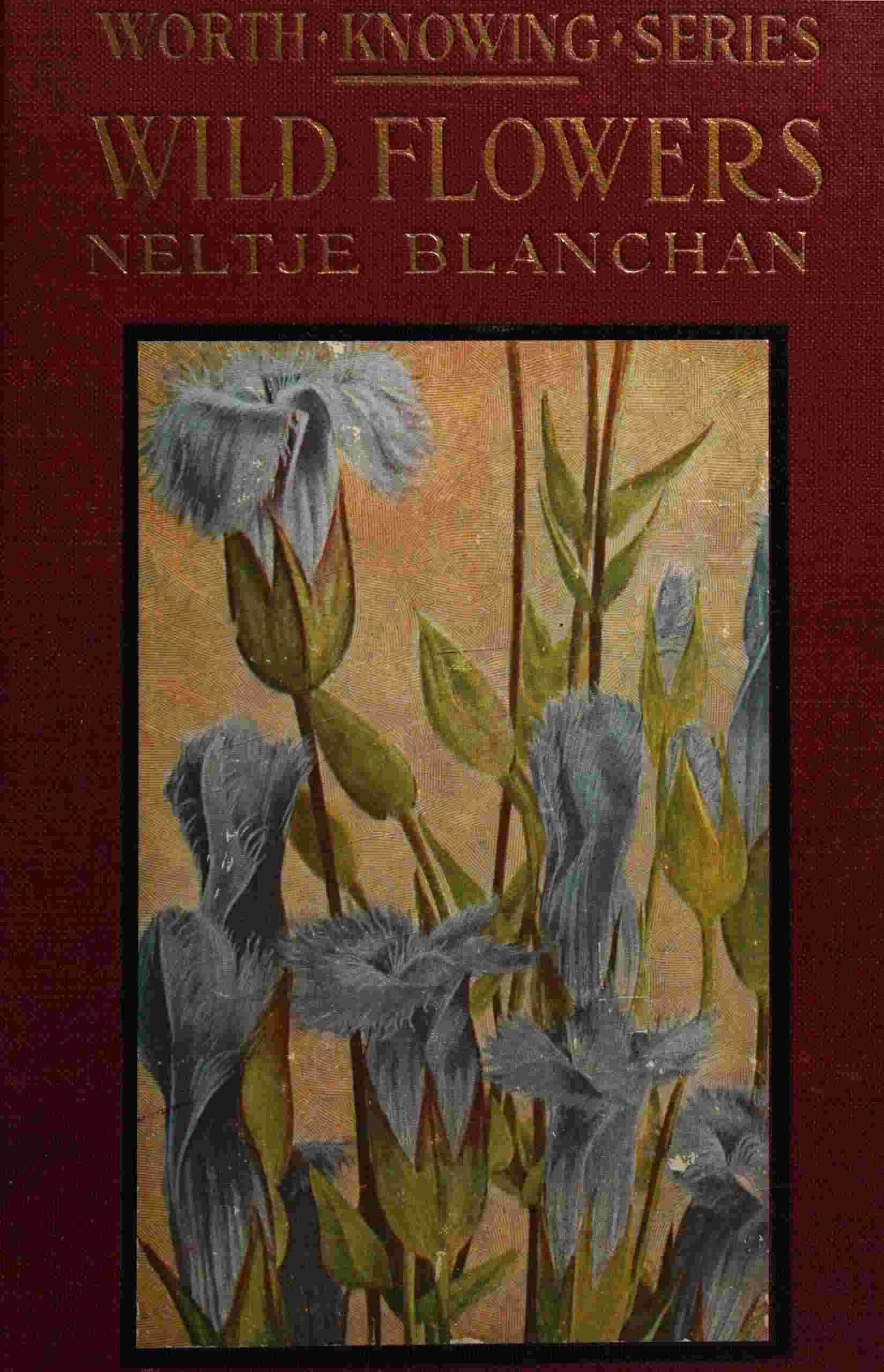 Wild Flowers Worth Knowing cover