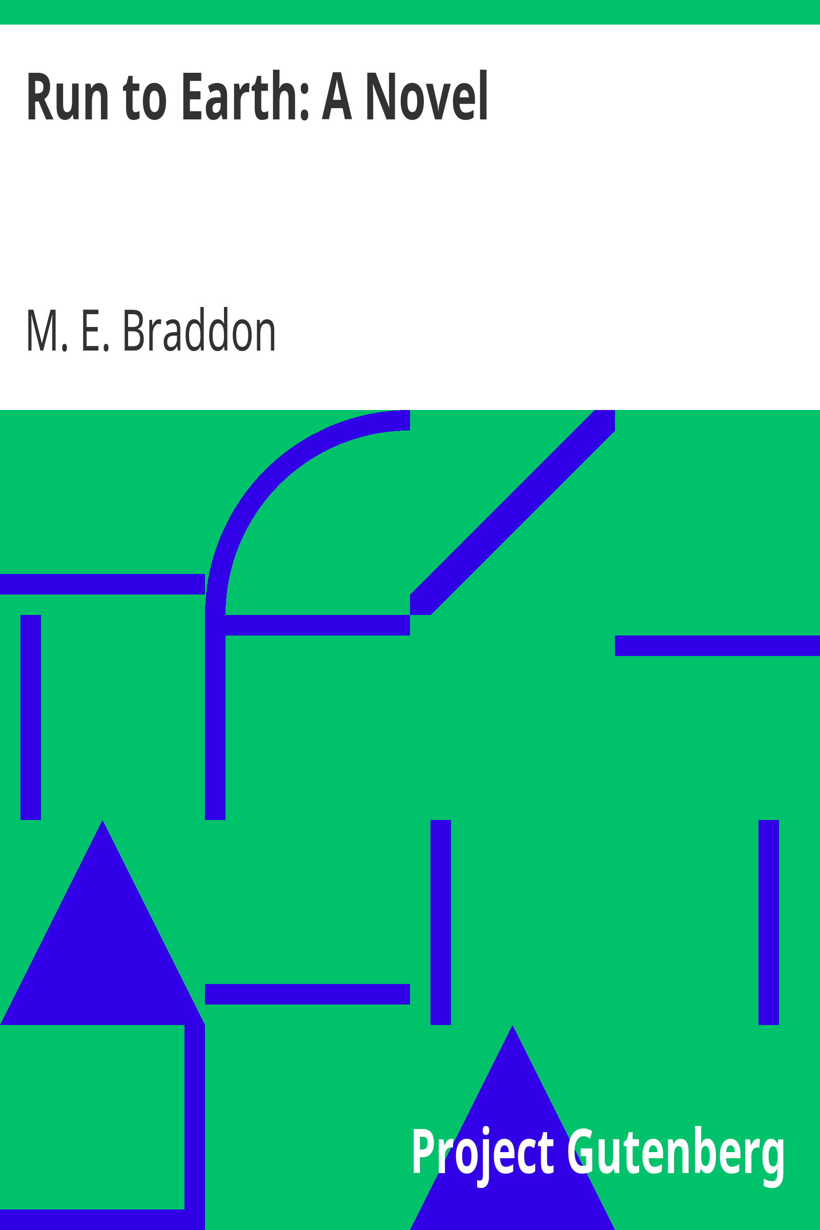 Run to Earth: A Novel cover
