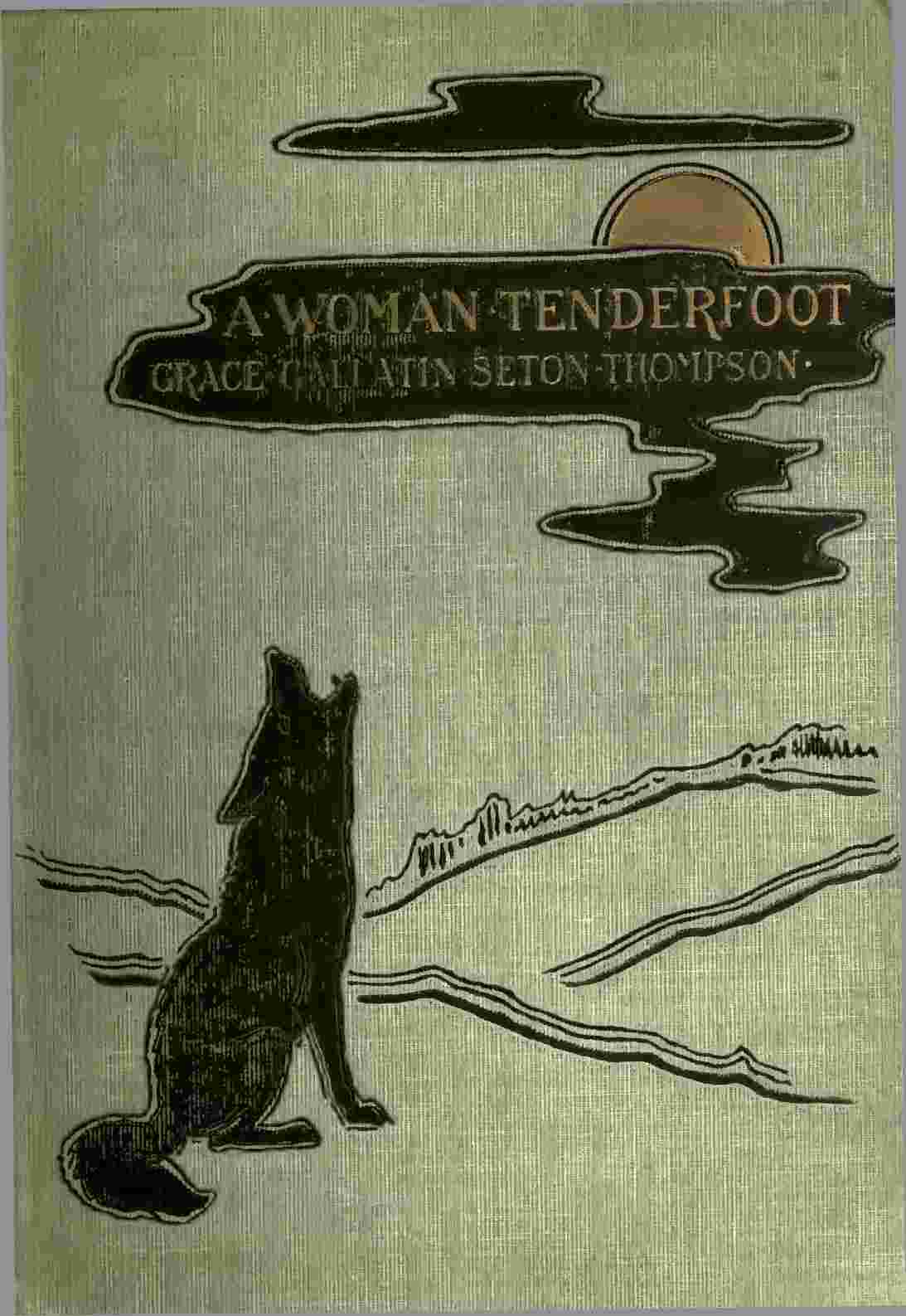 A Woman Tenderfoot cover