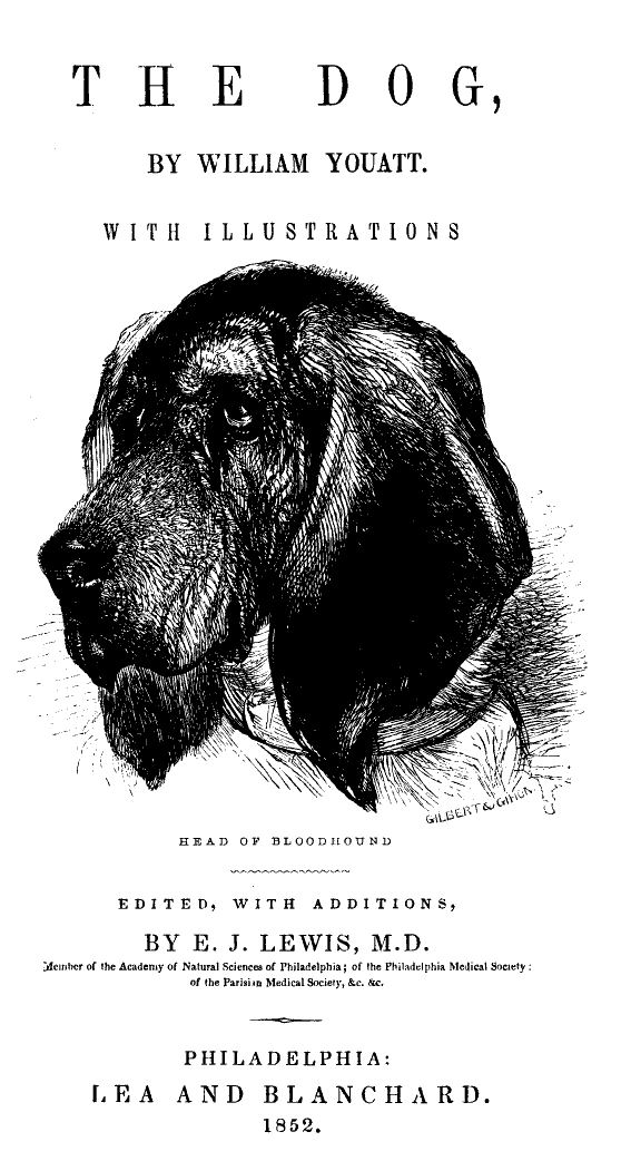 The Dog cover
